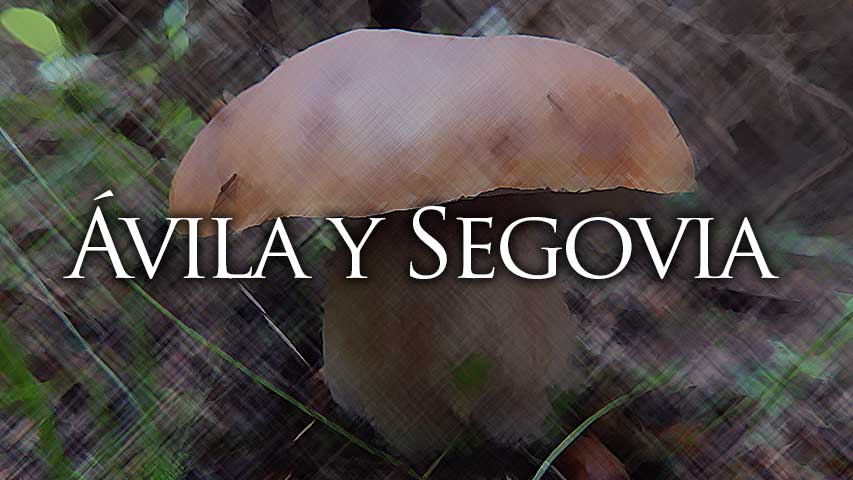 permisos setas ávila y segovia