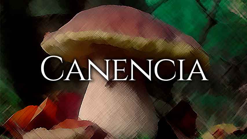 permisos setas canencia