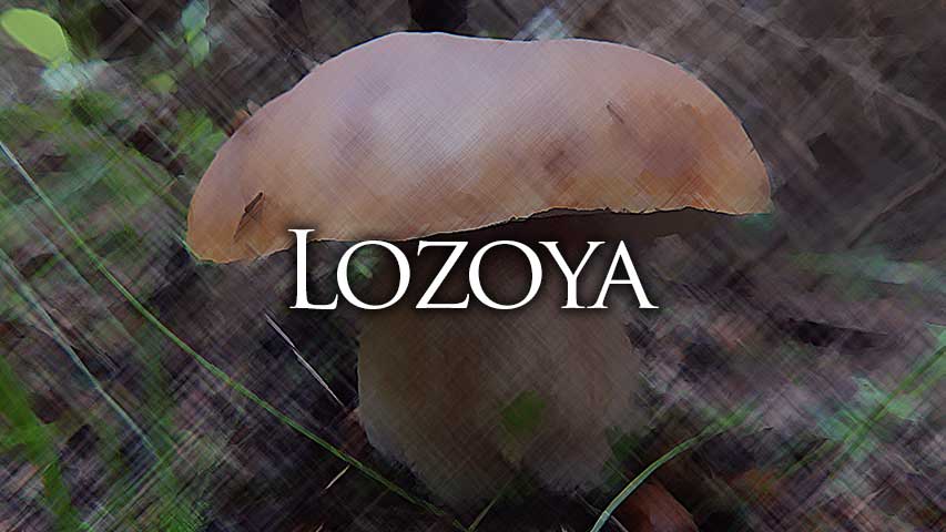 permisos setas lozoya