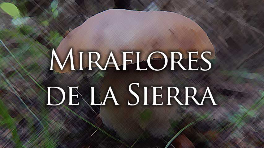permisos setas miraflores de la sierra