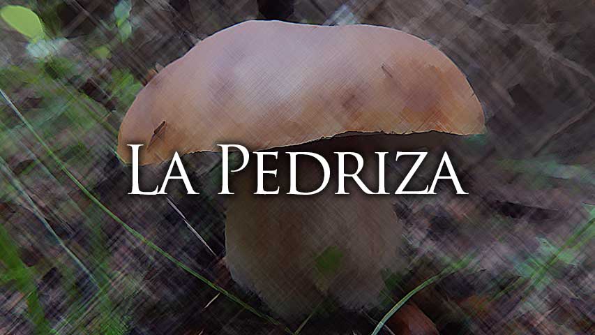 permisos setas la pedriza