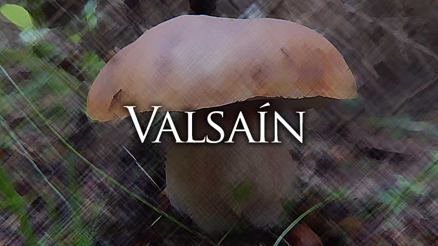 permisos setas valsaín